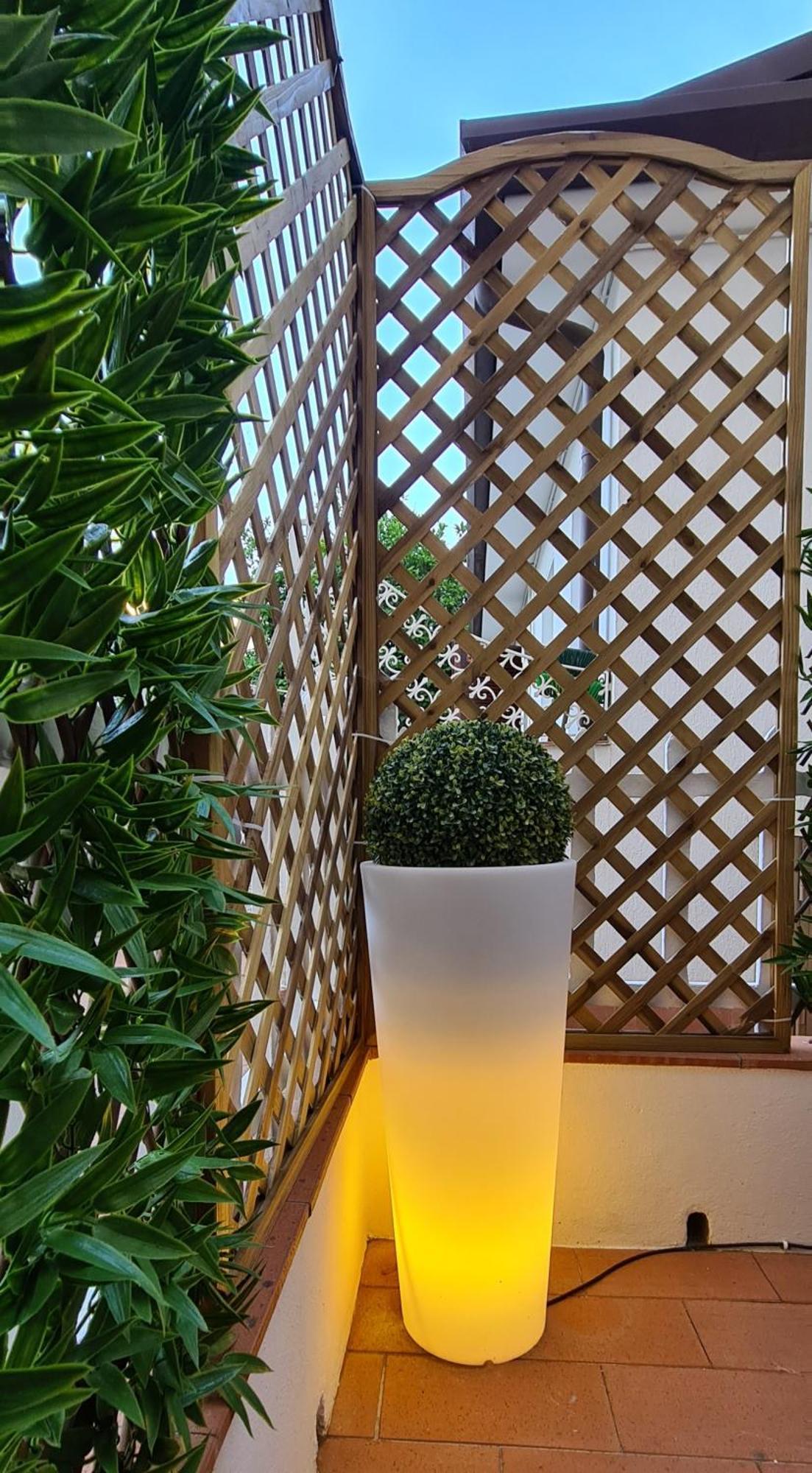 Suite Carducci Viareggio Exterior photo